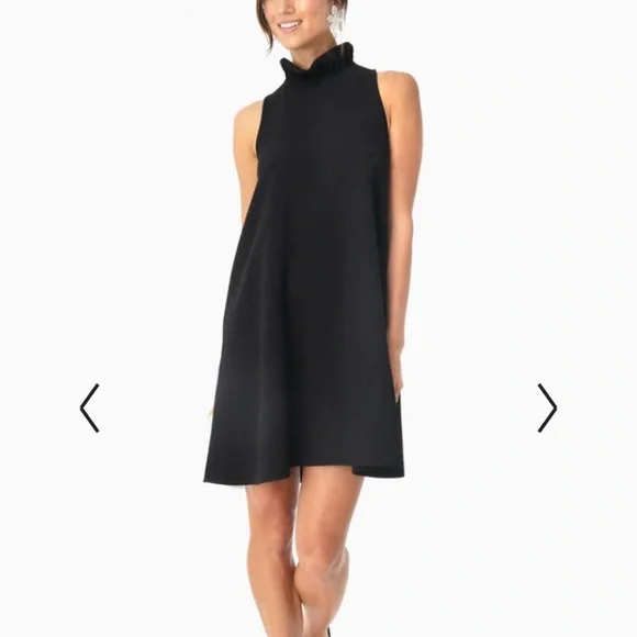 NWT Tuckernuck black ruffle neck Blythe dress S - Picture 2 of 15